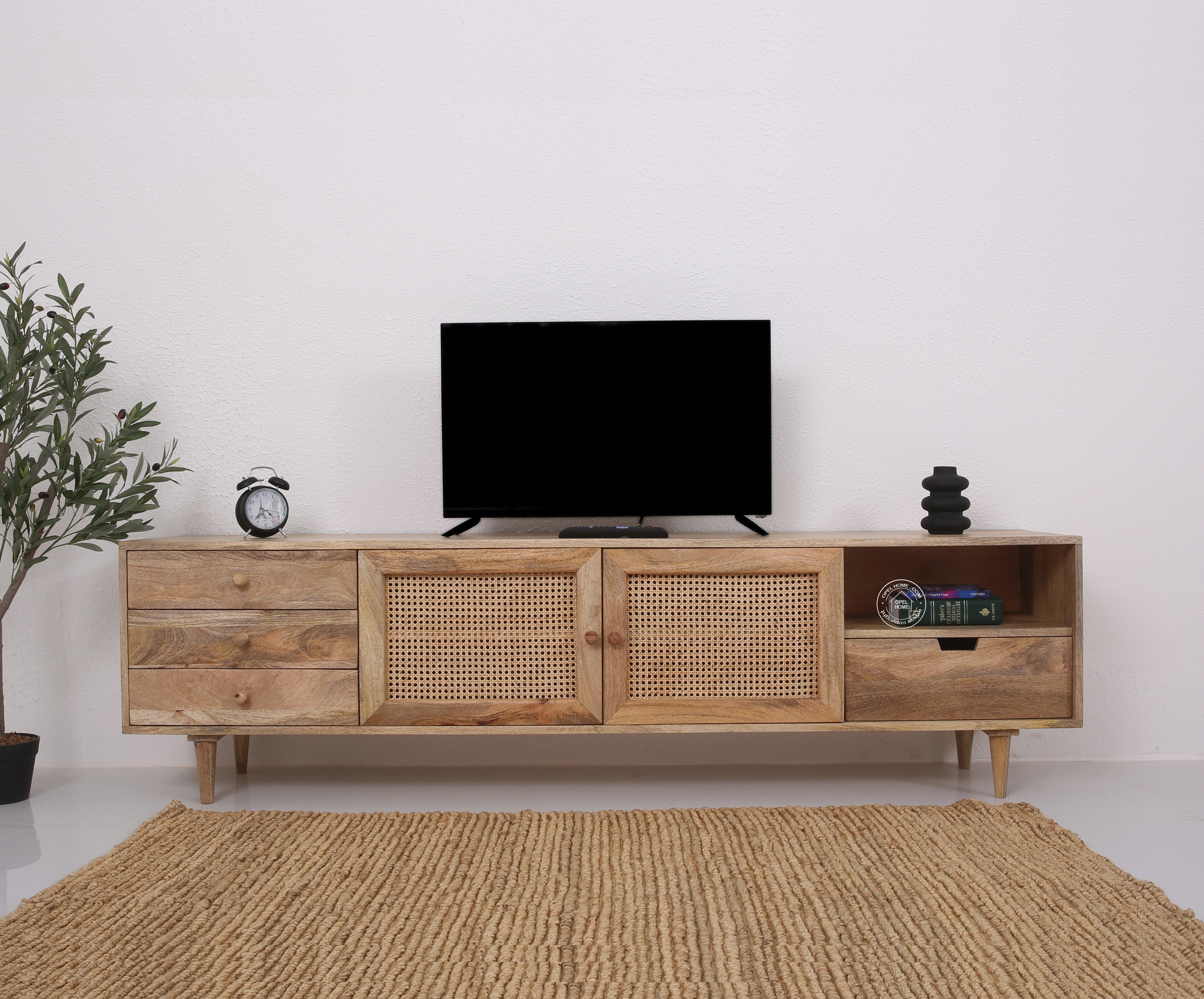 Terren Two Doors with three drawers Rattan TV Unit