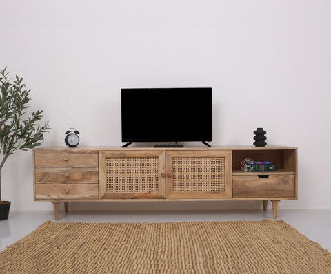 Terren Two Doors with three drawers Rattan TV Unit