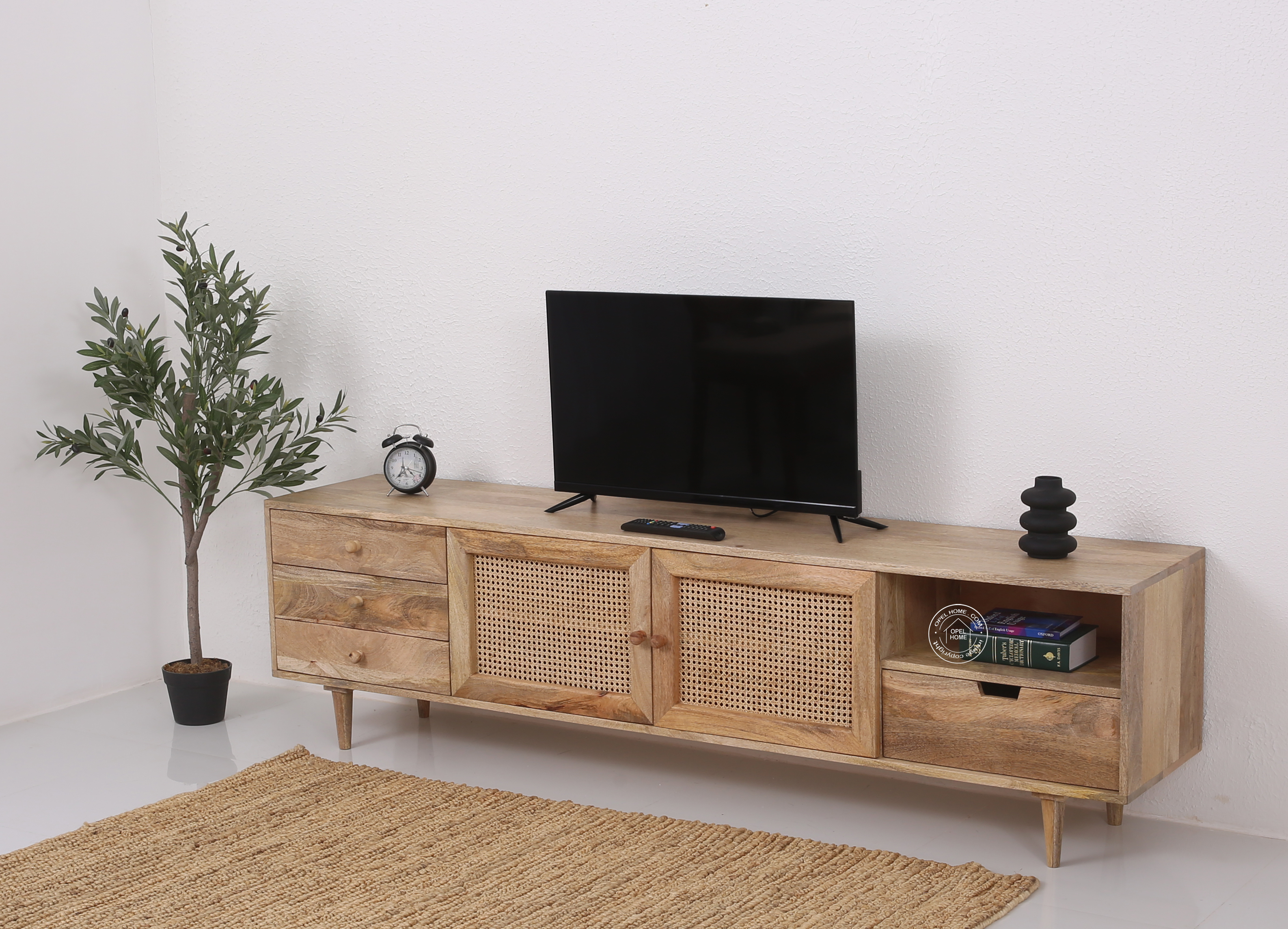 Terren Two Doors with three drawers Rattan TV Unit