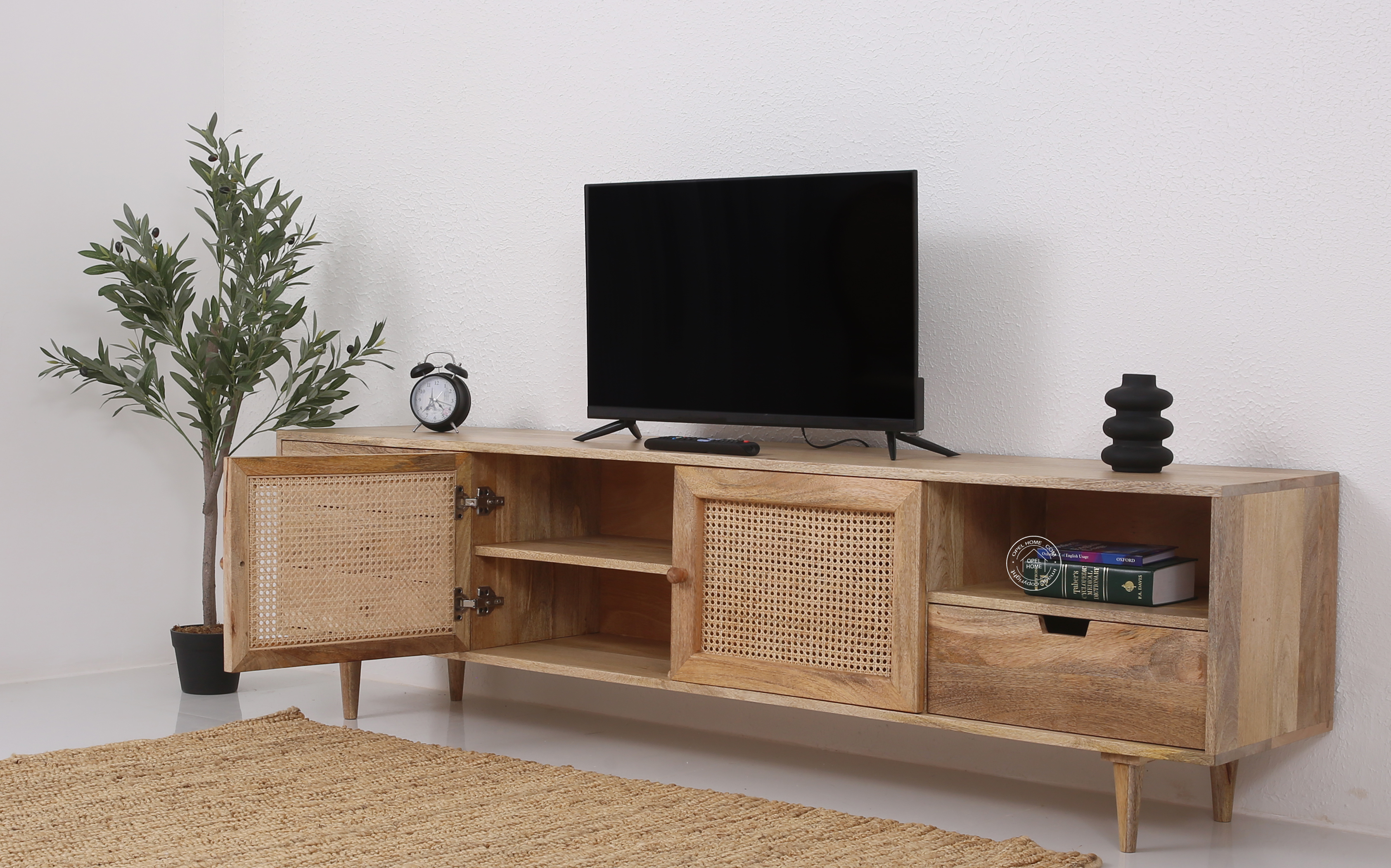 Terren Two Doors with three drawers Rattan TV Unit