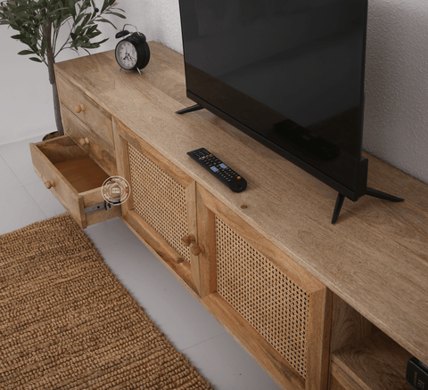 Terren Two Doors with three drawers Rattan TV Unit