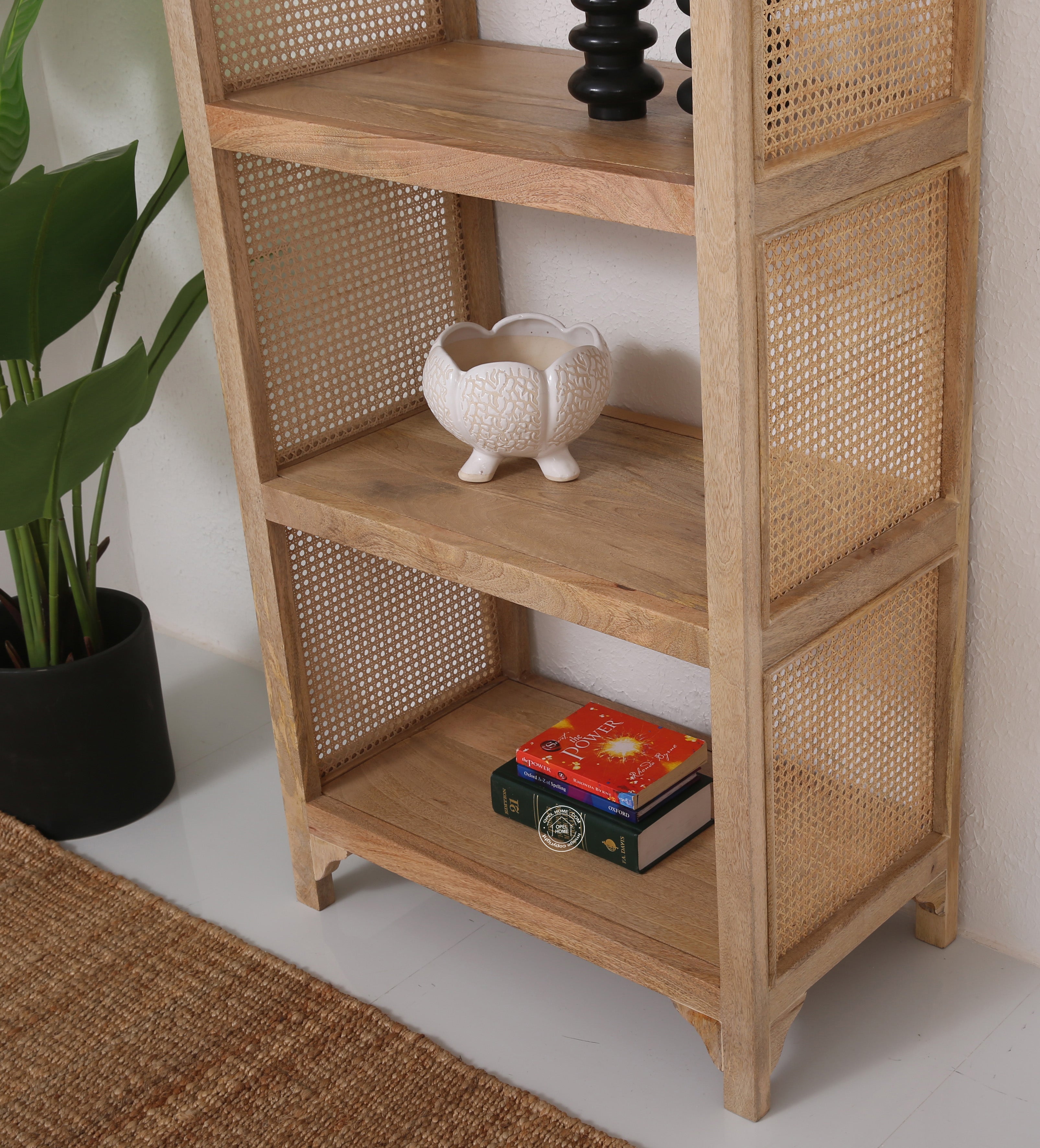 Modern Rattan Wooden Book Shelves