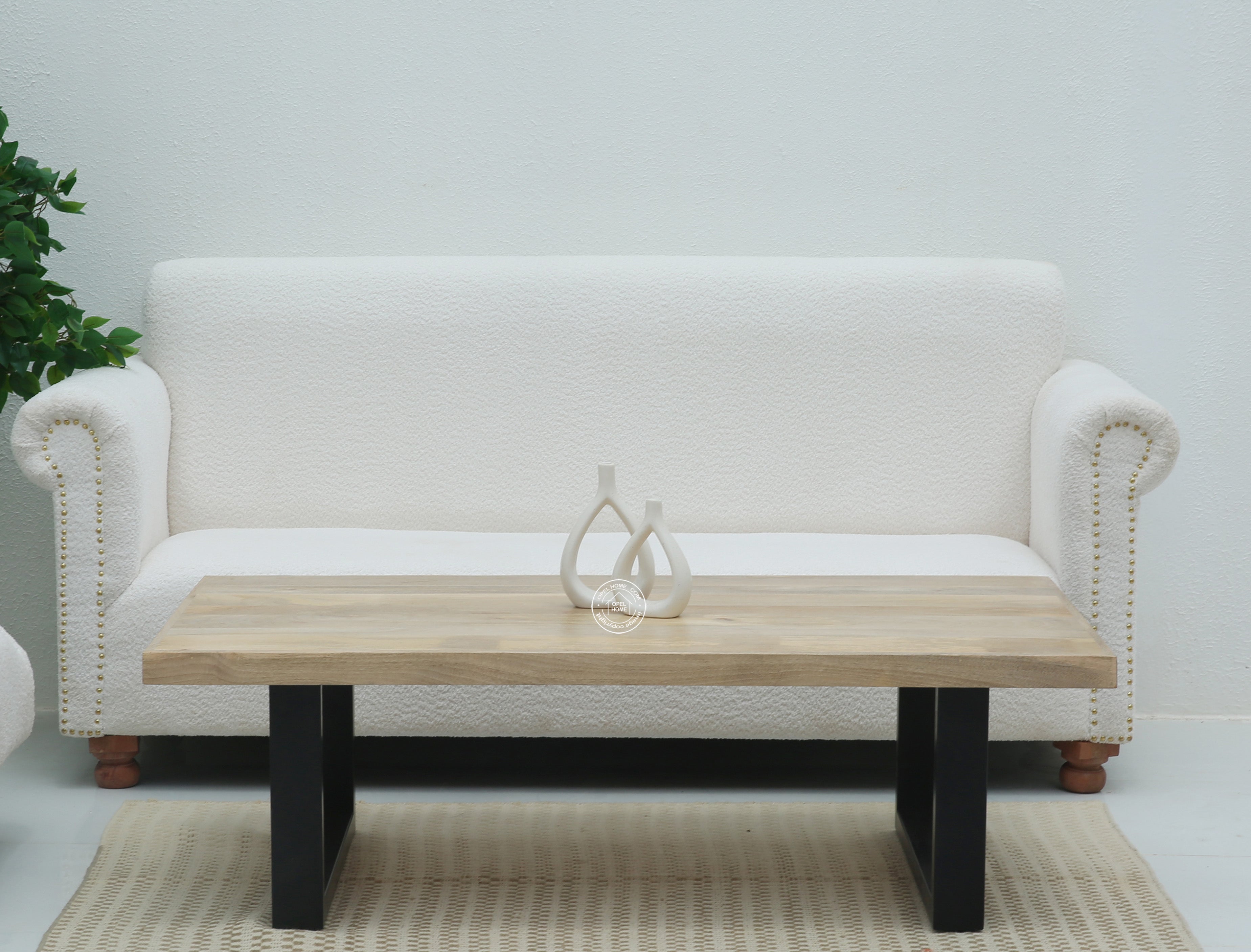 Webster Wood Coffee Table with Black Metal Base