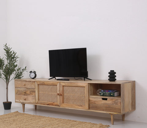 Terren Two Doors with three drawers Rattan TV Unit
