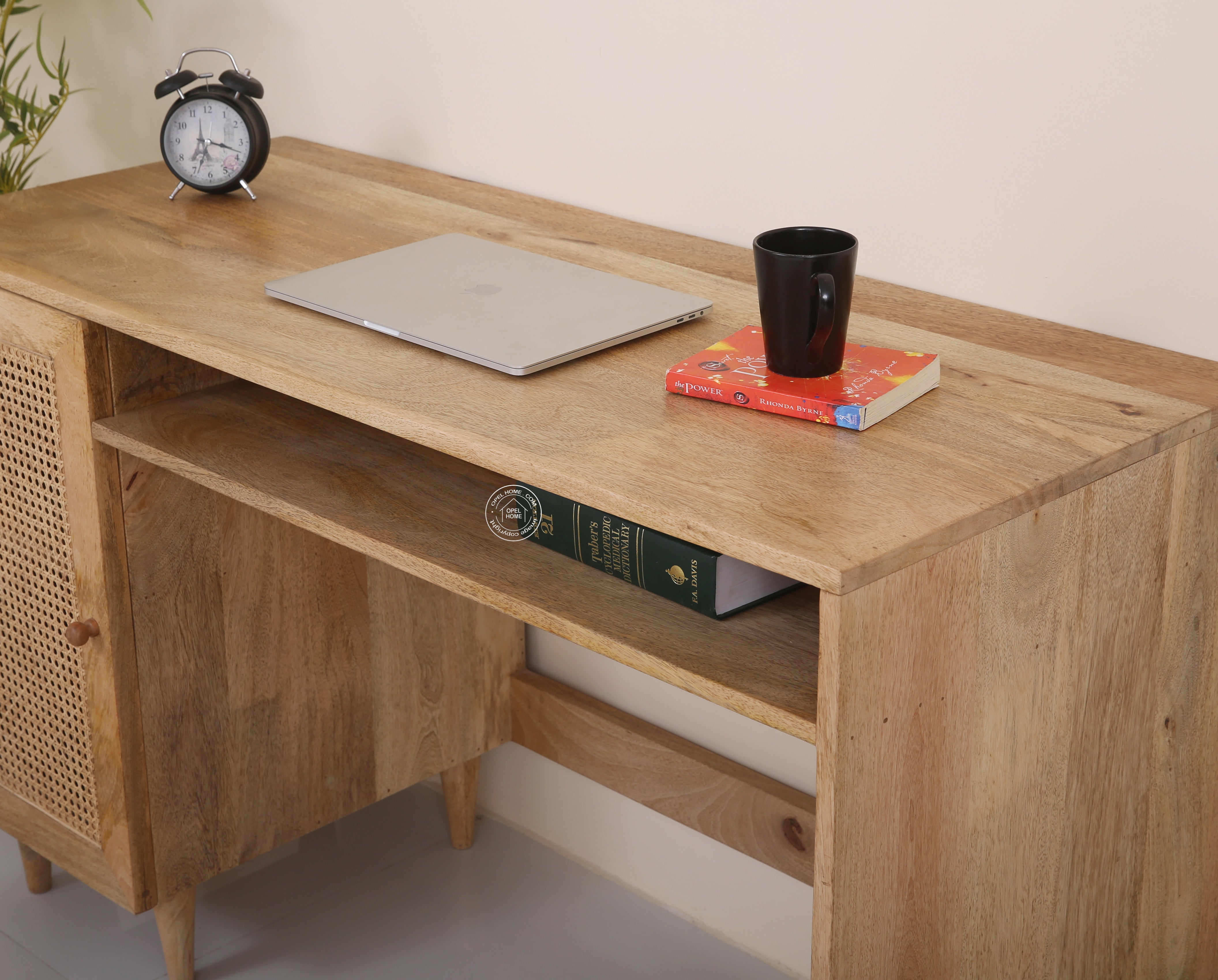 Grayton Rattan Door Wooden Desk