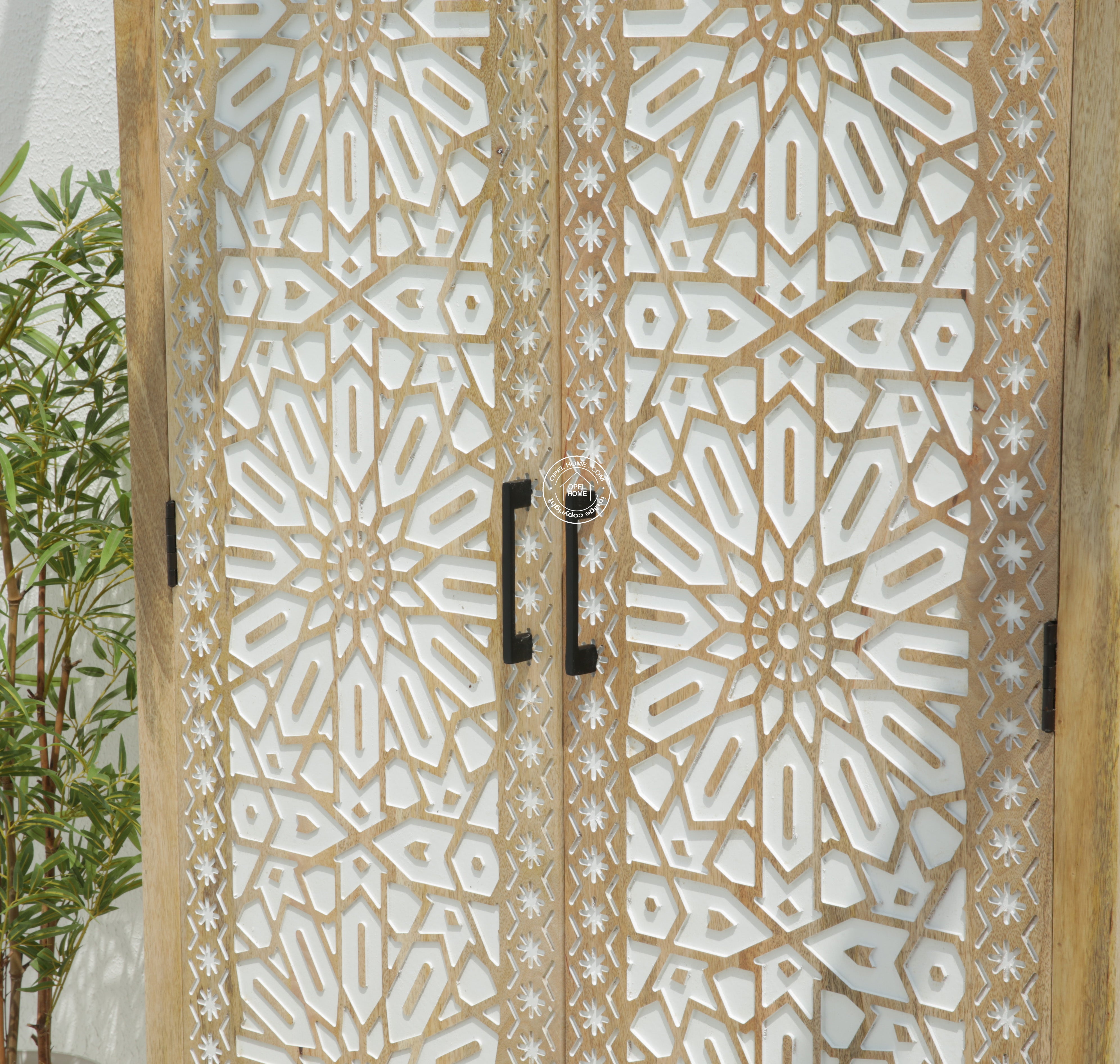 Antonella 2 Door Carved Closet
