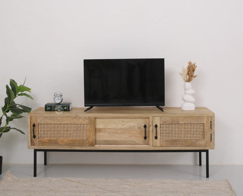 Hanson Rattan Doors Media Unit