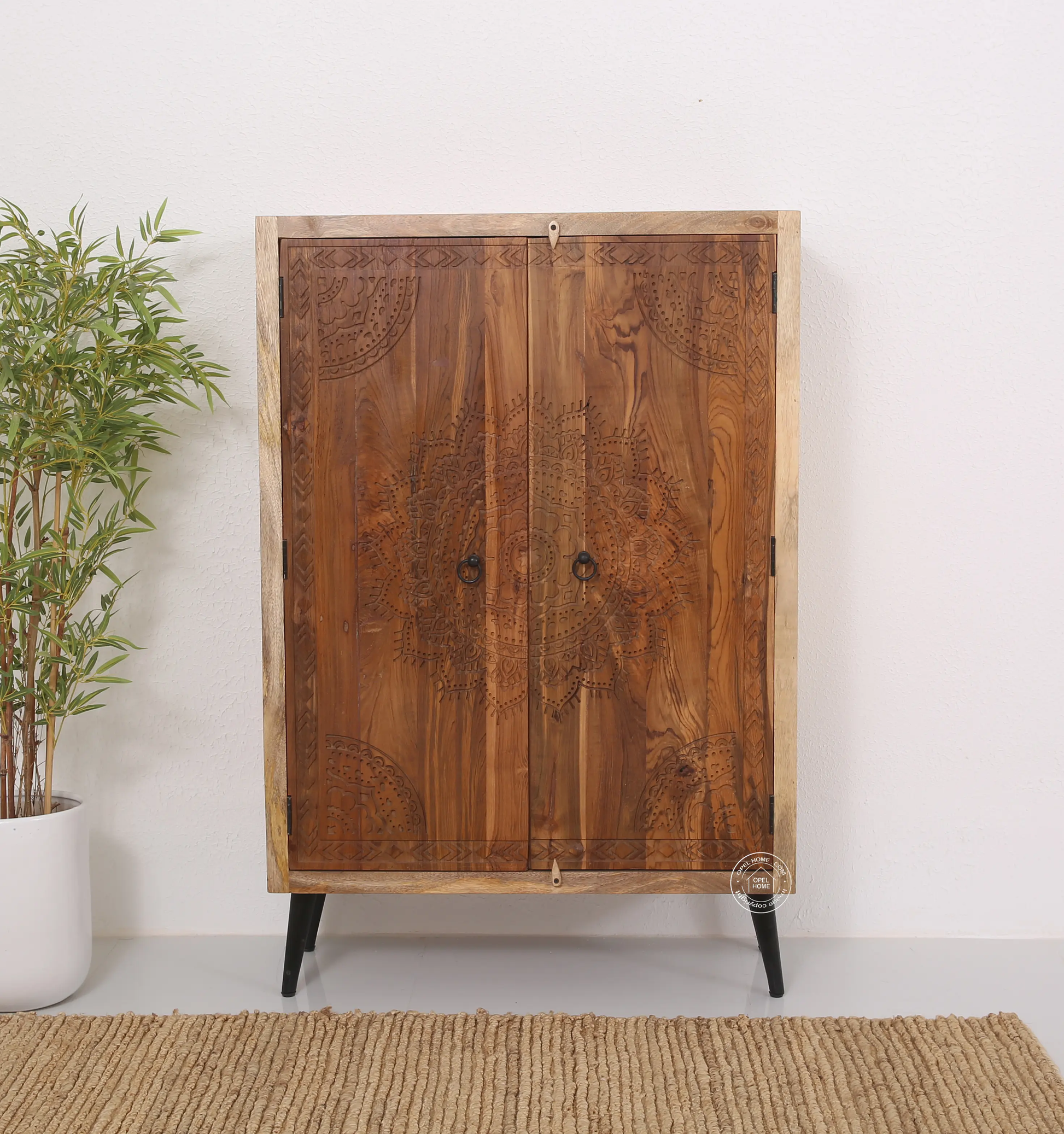 Cary wooden 2 door Cabinet - Opelhome