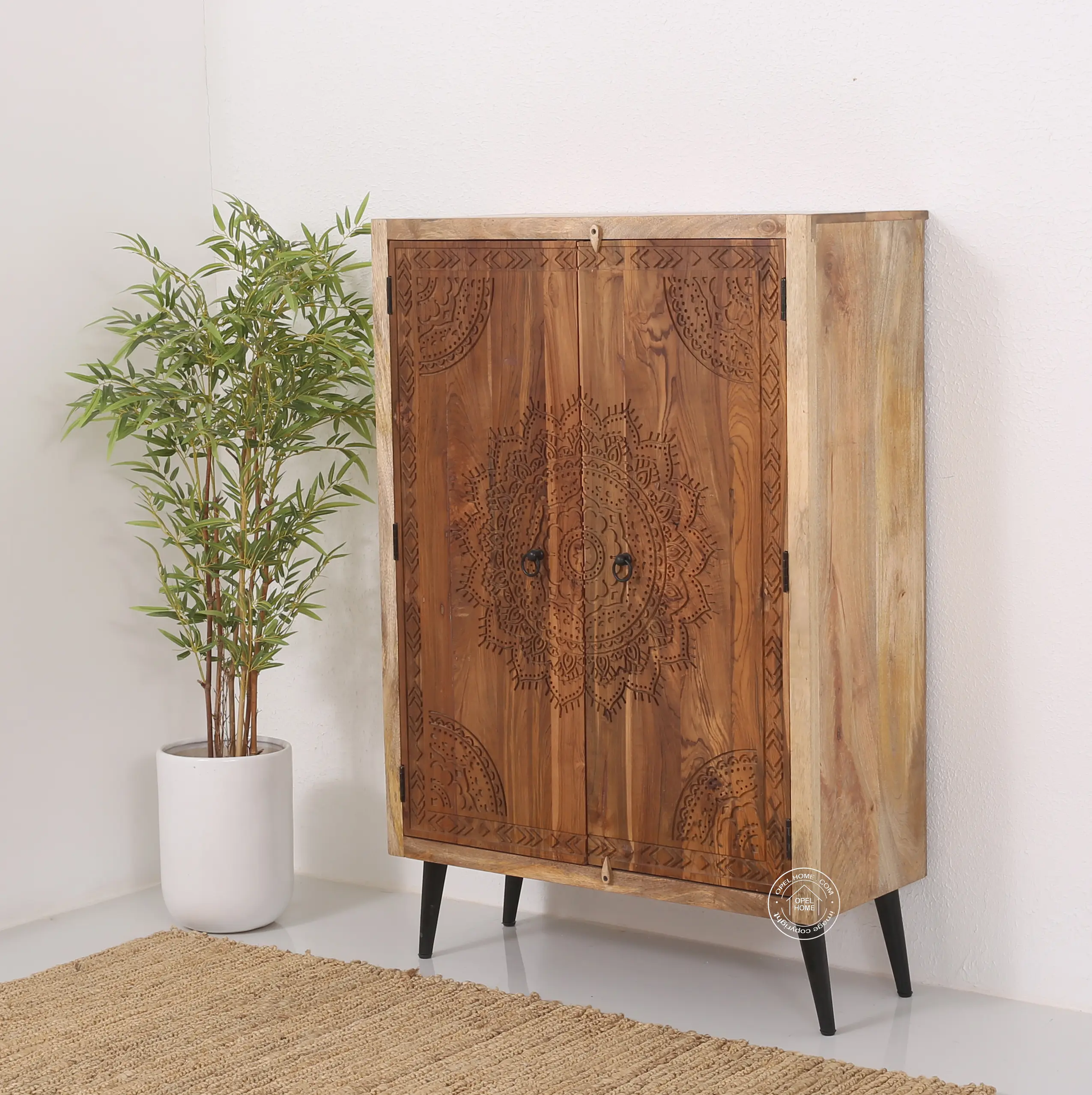 Cary wooden 2 door Cabinet
