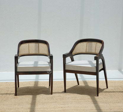 Zeno Wooden Dining Chair (Only one pcs), Walnut finish | Opelhome UAE - Opelhome