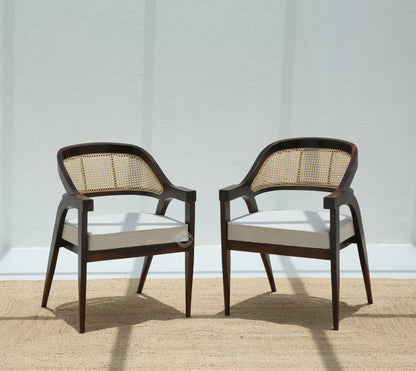 Zeno Wooden Dining Chair (Only one pcs), Walnut finish | Opelhome UAE - Opelhome